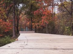 -丹东天桥沟景区