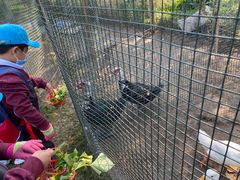 -前小桔亲子创意农场·草莓采摘·露营烧烤