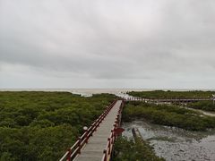 -北海金海湾红树林生态旅游区