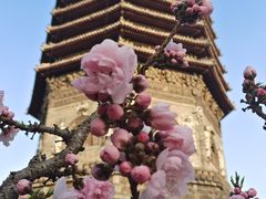-玲珑塔公园