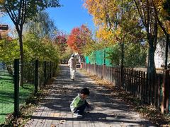 -回龙观体育文化公园