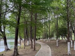 -长广溪湿地公园