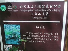 -北京上方山国家森林公园
