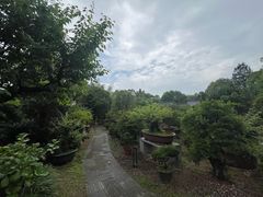 -万景茶庄·台州菜