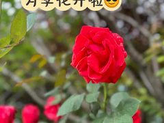 -大宁公园
