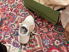 -Gucci(北京SKP店)