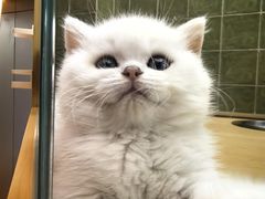 -首开·龙湖成都西宸天街
