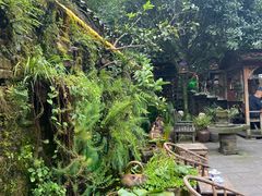 -青城甲(青城山店)