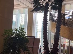 -温州华侨饭店(信河街店)