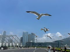 -星海广场