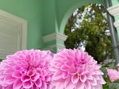 -龙环葡韵住宅式博物馆