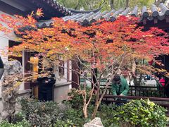 -郑和公园