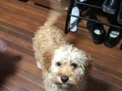 -骐奇宠物诊疗中心(南亭公路店)