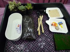 -伊丽莎白妇科医院·早孕检查