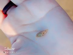 -南戴河旅游度假区