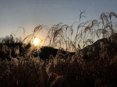-仙居谷风景区
