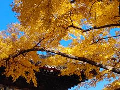 -红螺寺