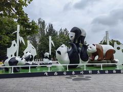 -西安秦岭野生动物园