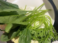 -蝎王府羊蝎子(北大地店)