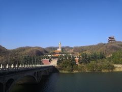 -中原大佛景区