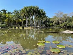 -中国科学院西双版纳热带植物园