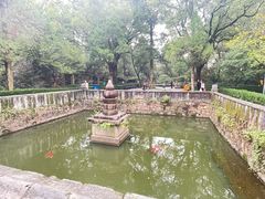 -灵岩山风景区