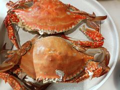 -天天鱼港·海鲜·鲅鱼水饺·招牌烤鸭(黄骅店)