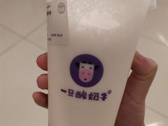 -一只酸奶牛(百联南岸上海城店)