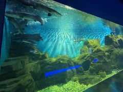 -石家庄海洋公园