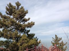 -养马岛旅游度假区