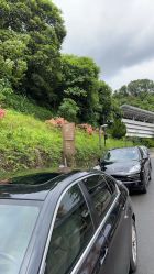 -爱帝宫月子中心(罗湖别墅院)