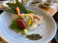 刺身什锦五种-天正河鲀·河豚亭(大连店)