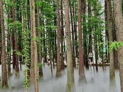 -东湖落雁景区