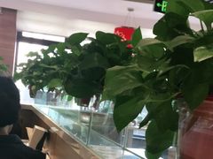 -嘉和一品粥(政府街店)