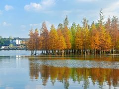 -白鹭湾湿地公园