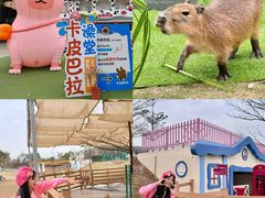 -盈香心动乐园