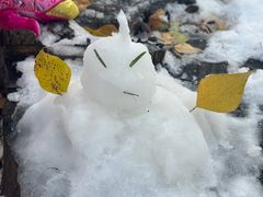 -长春市南湖公园