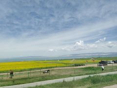 -青海湖国家重点风景名胜区