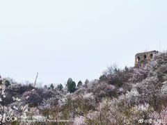 -蟠龙山长城景区