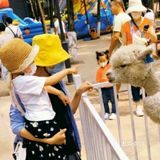 一起来解锁夏日遛娃新地标！[胜利]