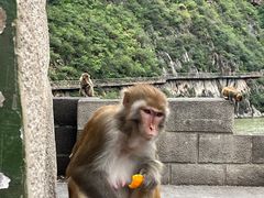 -白帝城·瞿塘峡景区