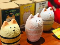 -猫咪博物馆(顶澳仔猫街店)
