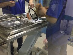 -百灵动物医院