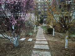 -五彩阳光城1期