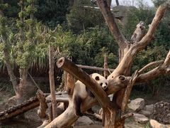 -宁波野生动物园