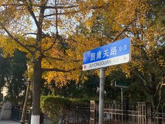-八大关景区