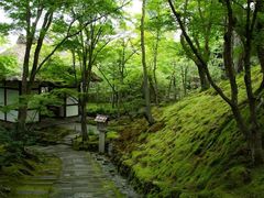 -常寂光寺
