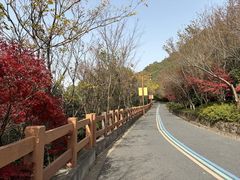 -杭州半山国家森林公园