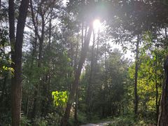 -狐尾山公园