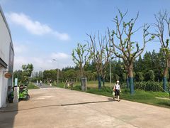 -前小桔亲子创意农场·草莓采摘·露营烧烤